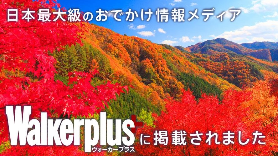 紅葉の見ごろについて【ウォーカープラス様に掲載されました】｜森観光